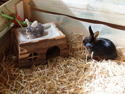 Familien-Aktionstag am 26.03.2017