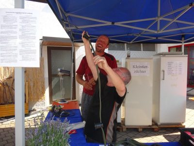 Dorffest am 08/09.07.2017
