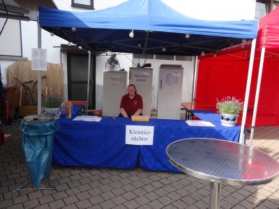 Dorffest am 08/09.07.2017