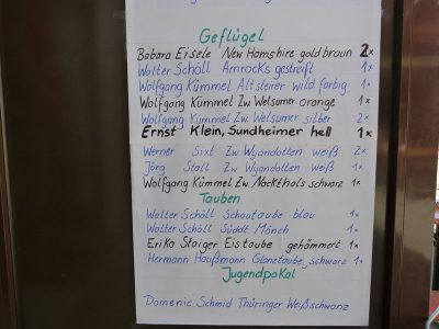 Jungtierschau am 29./30.07.2017