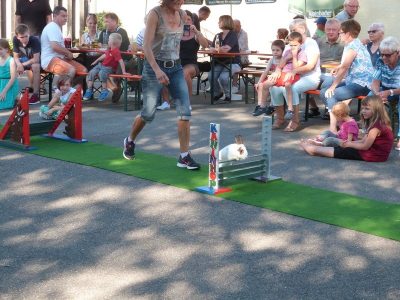 Jungtierschau am 29./30.07.2017