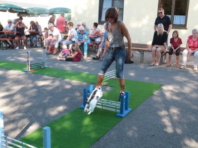 Jungtierschau am 29./30.07.2017