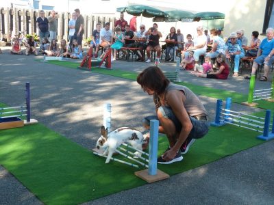 Jungtierschau am 29./30.07.2017
