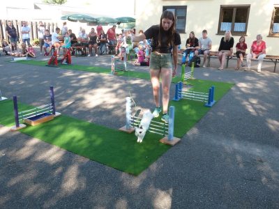 Jungtierschau am 29./30.07.2017