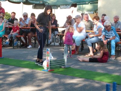 Jungtierschau am 29./30.07.2017