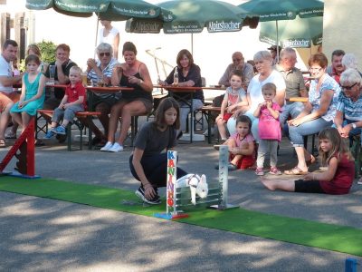 Jungtierschau am 29./30.07.2017