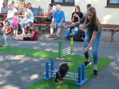 Jungtierschau am 29./30.07.2017