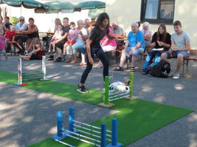 Jungtierschau am 29./30.07.2017