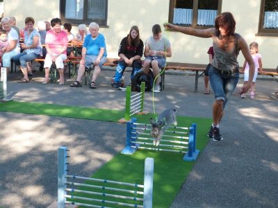 Jungtierschau am 29./30.07.2017
