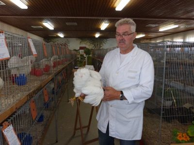 Jungtierschau am 29./30.07.2017