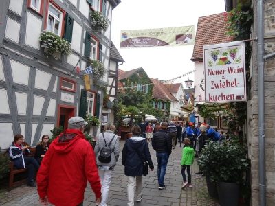 Ausflug am 16.09.2017 (Daimler-Museum/Winzerfest in Besigheim mit Fischerstechen)