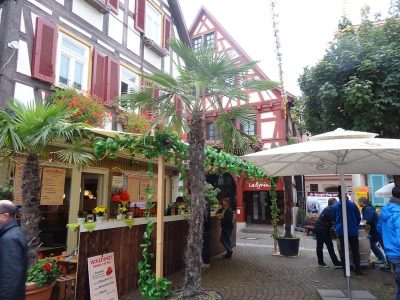 Ausflug am 16.09.2017 (Daimler-Museum/Winzerfest in Besigheim mit Fischerstechen)