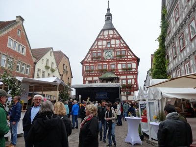 Ausflug am 16.09.2017 (Daimler-Museum/Winzerfest in Besigheim mit Fischerstechen)
