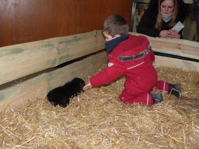 Familien-Aktionstag am 18.03.2018