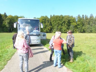 Ausflug am 08.09.2018 (Alb-Büffel/Sigmaringen/Kampus Galli/Zwiefalten)