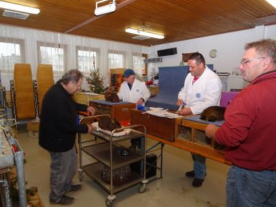 Lokalschau am 01./02.12.2018