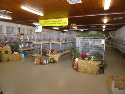 Lokalschau am 01./02.12.2018