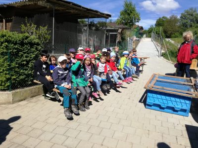 Kindergarten in der Zuchtanlage