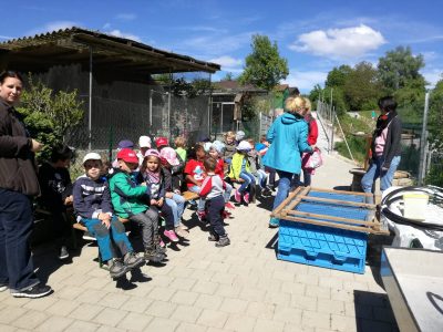 Kindergarten in der Zuchtanlage