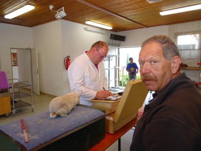 Jungtierschau am 20./21.07.2019