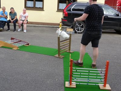 Jungtierschau am 20./21.07.2019