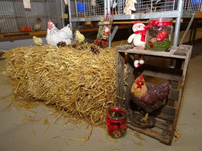 Lokalschau am 07./08.12.2019