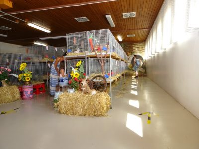 Jungtierschau am 18./19.07.2020