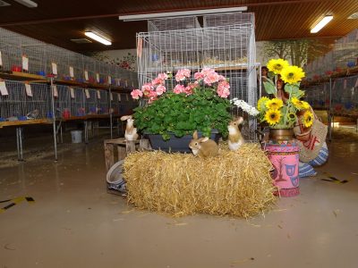 Jungtierschau am 18./19.07.2020