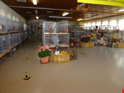 Jungtierschau am 18./19.07.2020