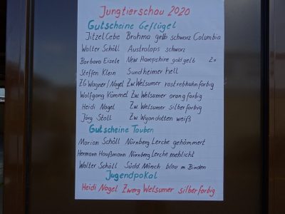 Jungtierschau am 18./19.07.2020