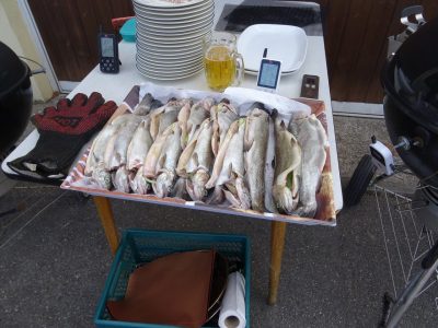 Zuchtanlagenfest am 01.08.2020