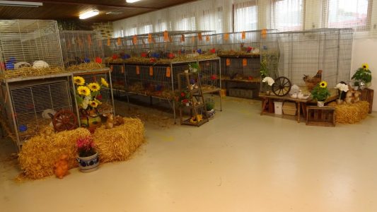 Jungtierschau am 17./18.7.2021
