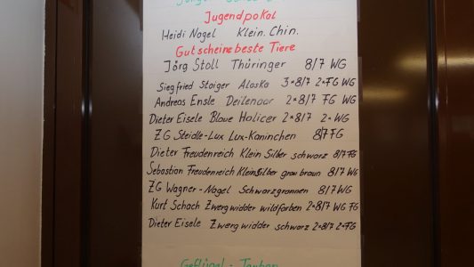 Jungtierschau am 17./18.7.2021