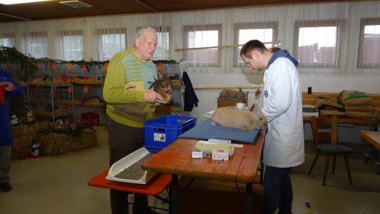 Lokalschau am 11./12.12.2021
