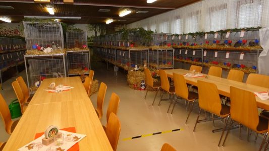 Lokalschau am 11./12.12.2021