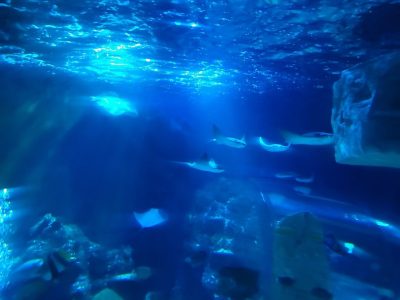 Im Legoland am 29. Oktober 2022