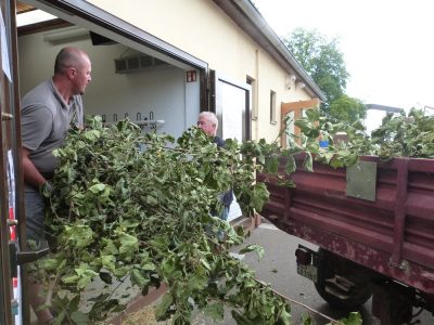 Jungtierschau am 16./17.07.2022