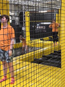 Sprungbude am 30.5.2025