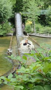 Tripsdrill 26./27.7.2025