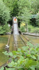 Tripsdrill 26./27.7.2025