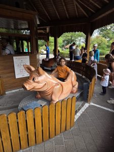 Tripsdrill 26./27.7.2025