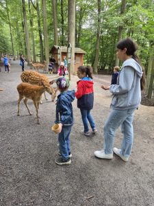 Tripsdrill 26./27.7.2025