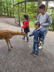 Tripsdrill 26./27.7.2025