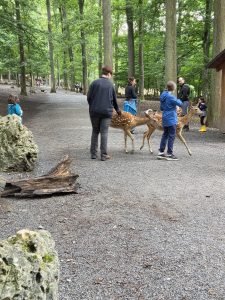 Tripsdrill 26./27.7.2025