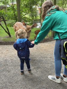 Tripsdrill 26./27.7.2025