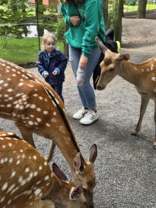 Tripsdrill 26./27.7.2025