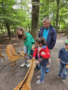 Tripsdrill 26./27.7.2025