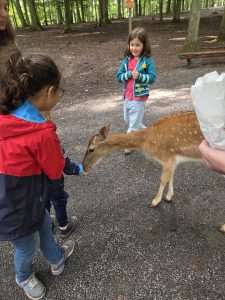 Tripsdrill 26./27.7.2025