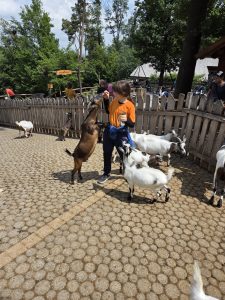 Tripsdrill 26./27.7.2025