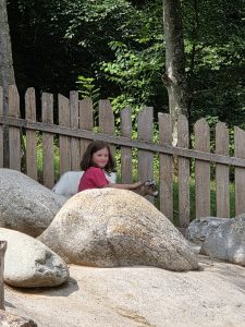 Tripsdrill 26./27.7.2025